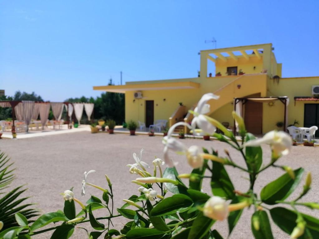 a view of a building with white flowers in the foreground at TeNuTa Li Frasulli in Sannicola