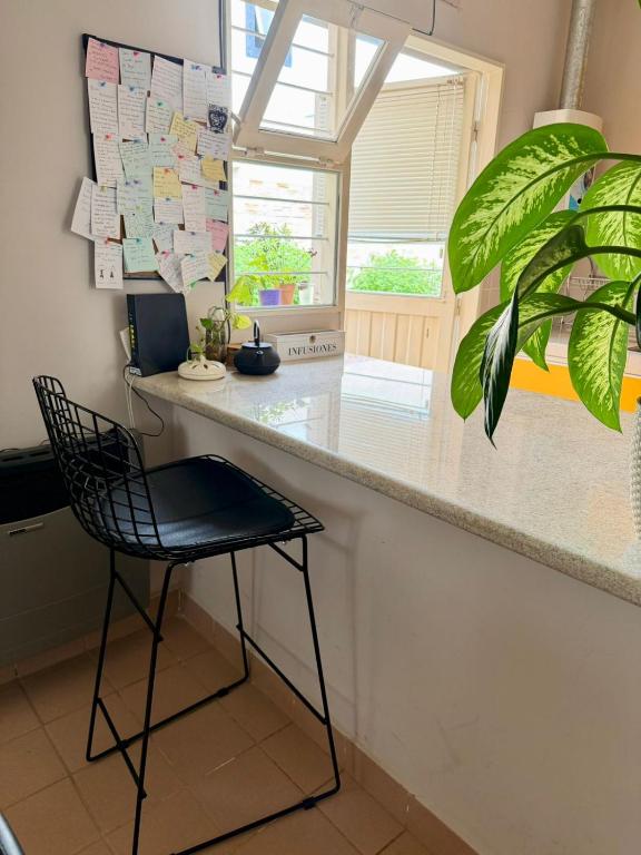 Verde Limón - Casa compartida