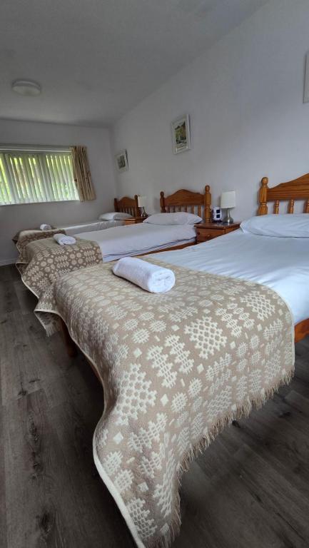 Snowdonia Mountain Lodge - Habitación Triple Con Baño Privado