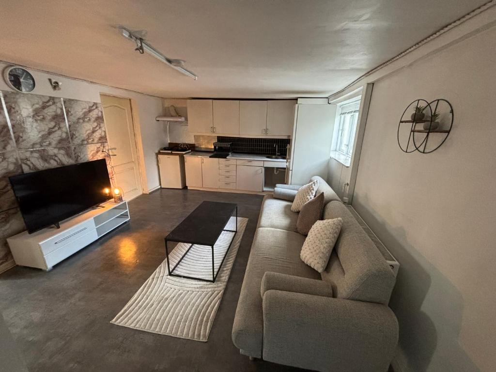 a living room with a couch and a television at Cosy Family Basement Apartment in Copenhagen Søborg with Jacuzzi in Søborg