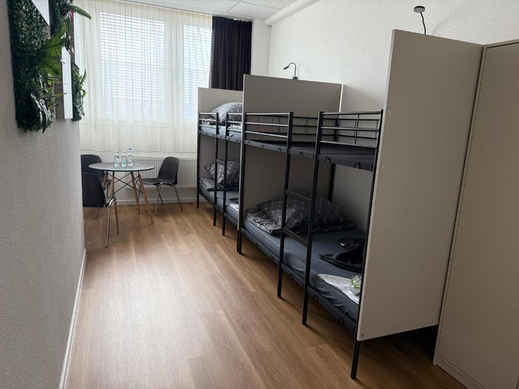 a room with three bunk beds and a table at Hostel Terre in Fellbach