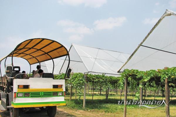 a group of people riding in a golf cart at บ้านไร่คุณนาย in Ban Sap Bon