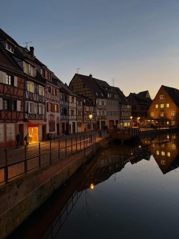 Maison Colmar, spacieuse, accueillante , confortable au calme – photo 6
