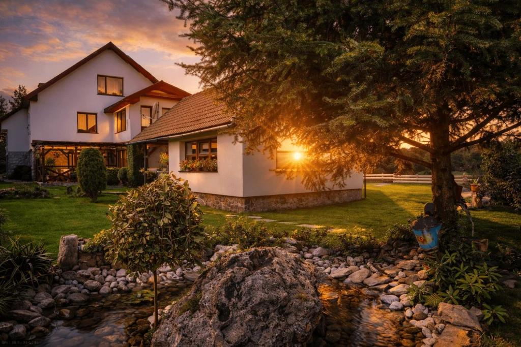 a house with a pond in front of it at Penzión Daria in Batizovce