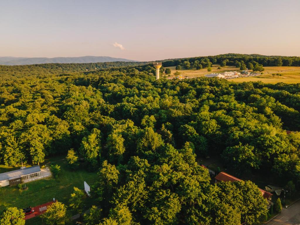 an aerial view of a forest of trees with a tower at Arsenal Park Transilvania in Orăştie
