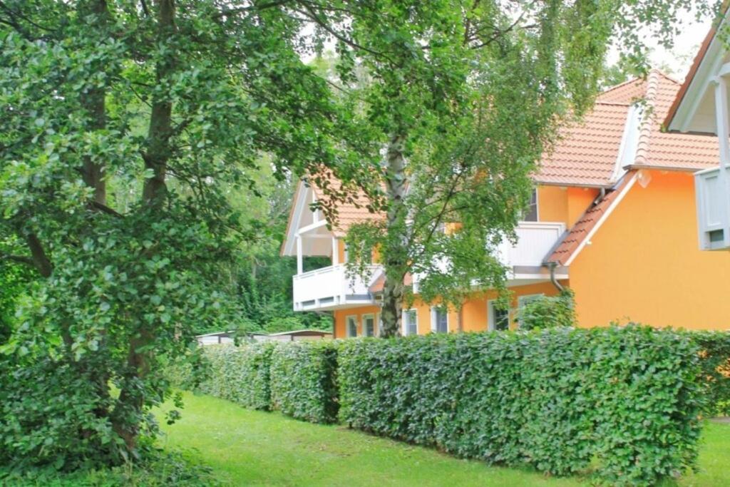 a hedge in front of a house at Rügenglück in Breege