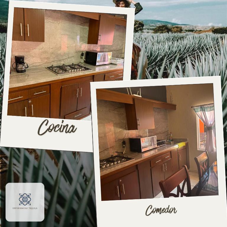 Casa Mexico, Tekilan