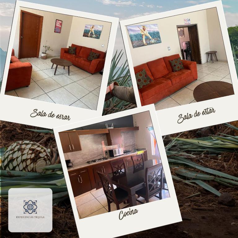 Casa Mexico, Tekilan