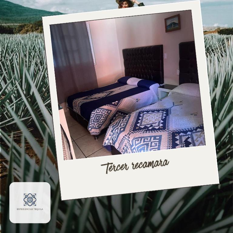 Casa Mexico, Tekilan