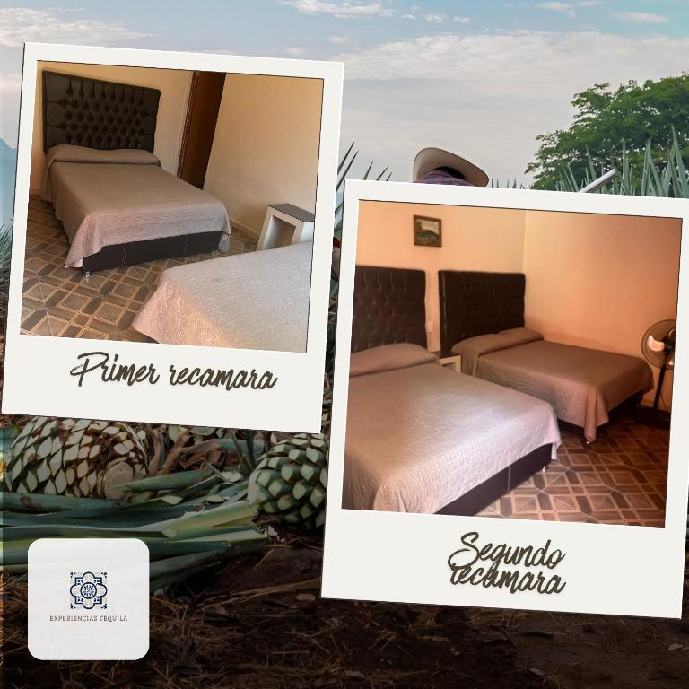 Casa Mexico, Tekilan