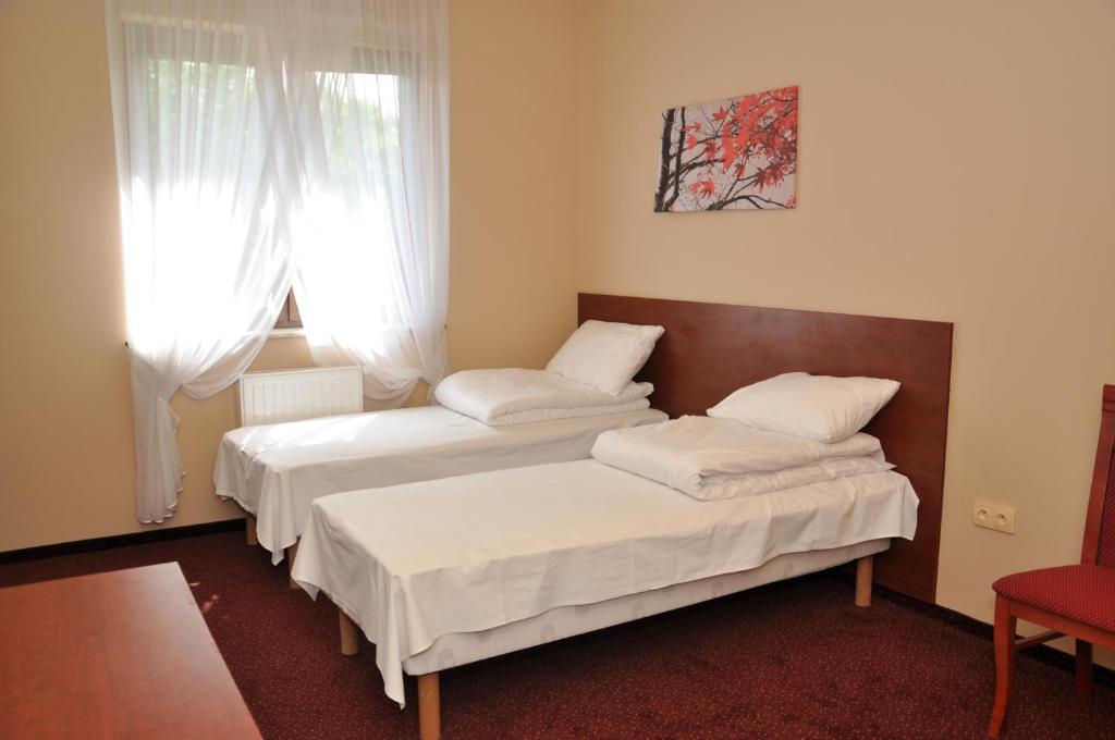Легло или легла в стая в Markiz Łopuszno