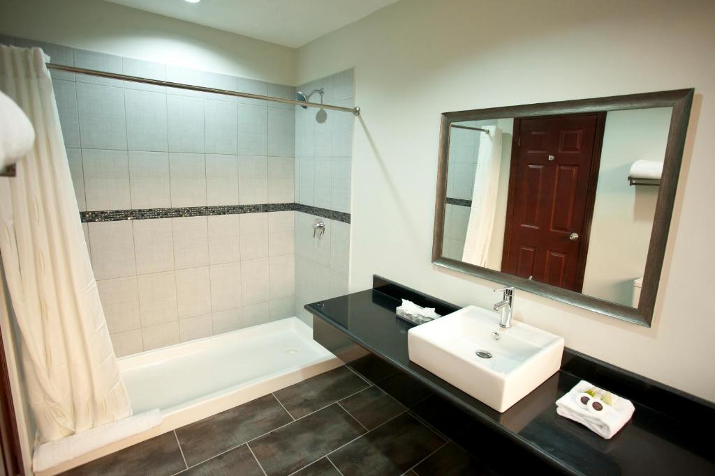 Koupelna v ubytování Hotel Los Andes