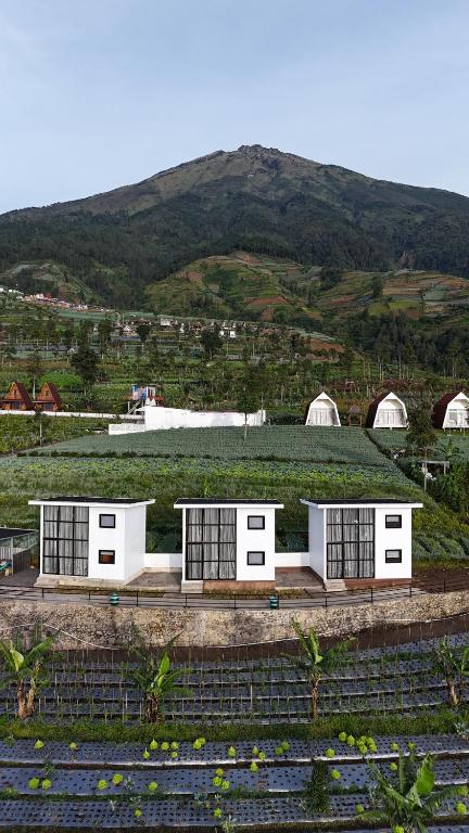two white buildings in a field with a mountain at Krincing Hills Cabin in Kalijoso