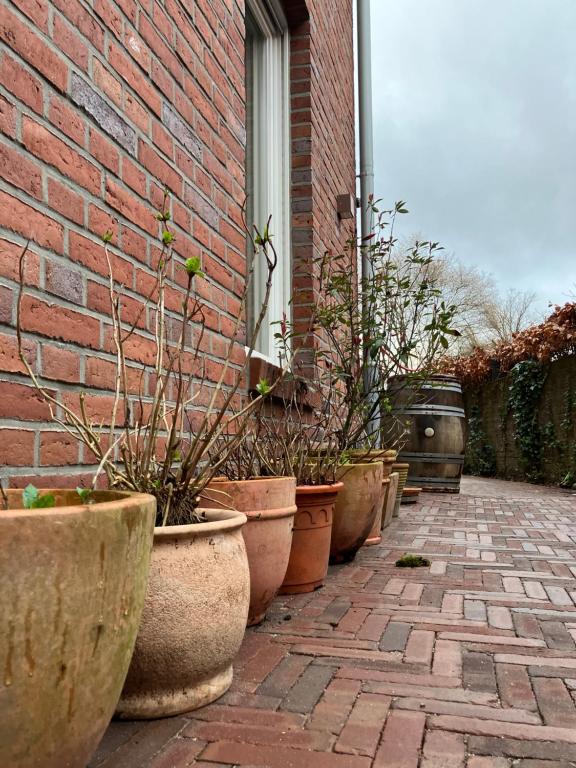 a row of pots of plants in front of a building at freiheitACHT in Raesfeld