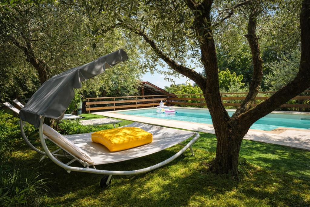 a hammock under a tree next to a swimming pool at Scappo in Umbria, Eva in Fornole