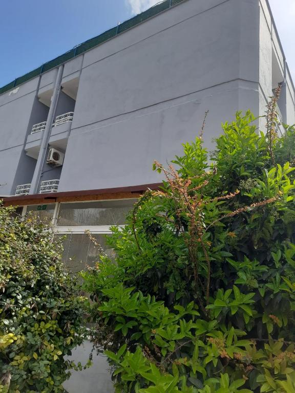 a building with green bushes in front of it at Çeşme MASAL in Çeşme