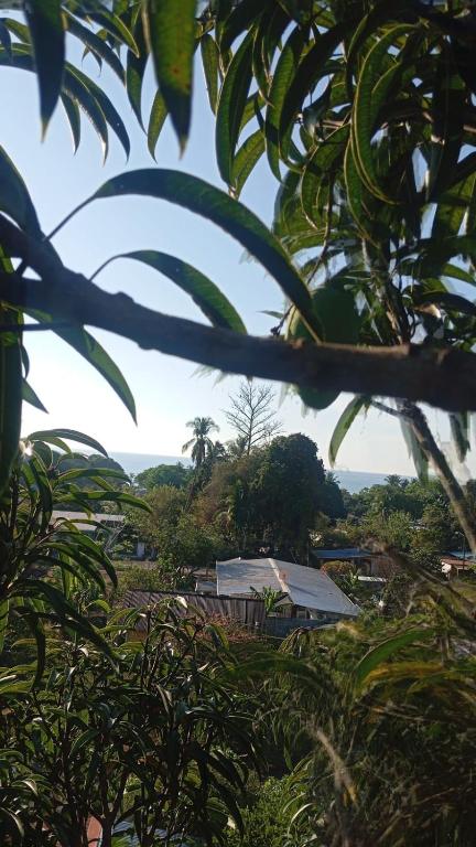 a view of a village from behind some trees at Burica Camping in Puerto Armuelles