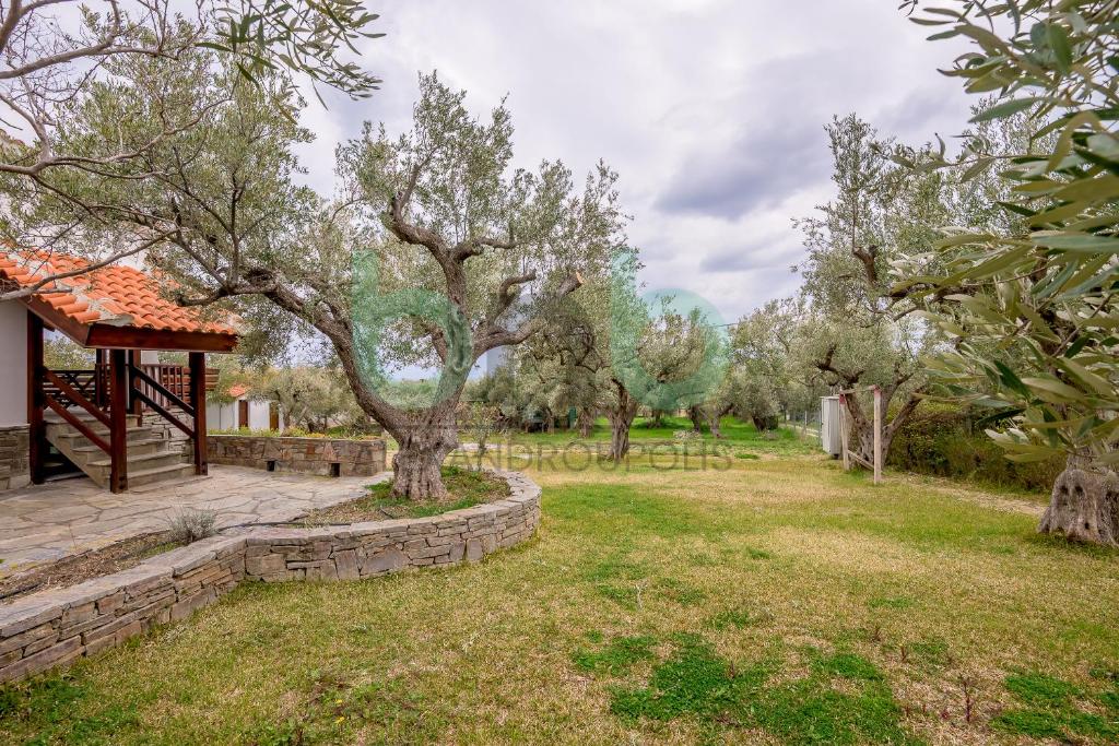a garden with trees and a gazebo at Elaion House in Agia Paraskevi