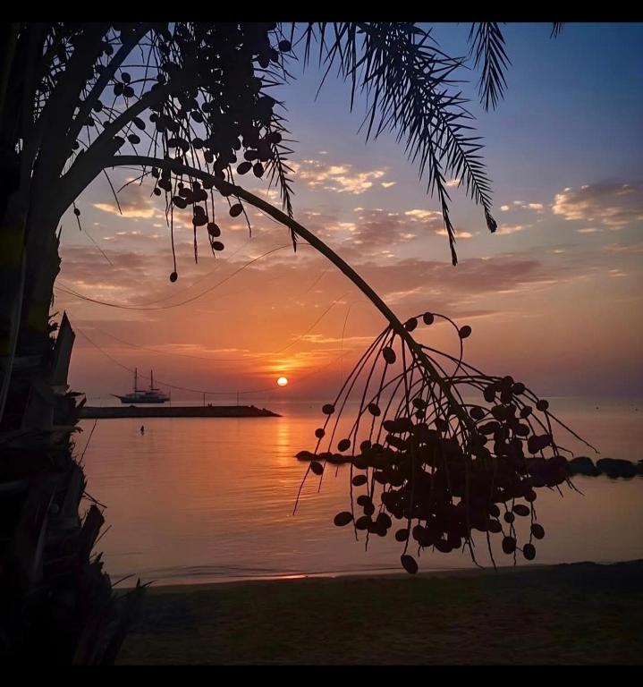 un tramonto su uno specchio d'acqua con un albero di SUNNY COAST a Paralimni