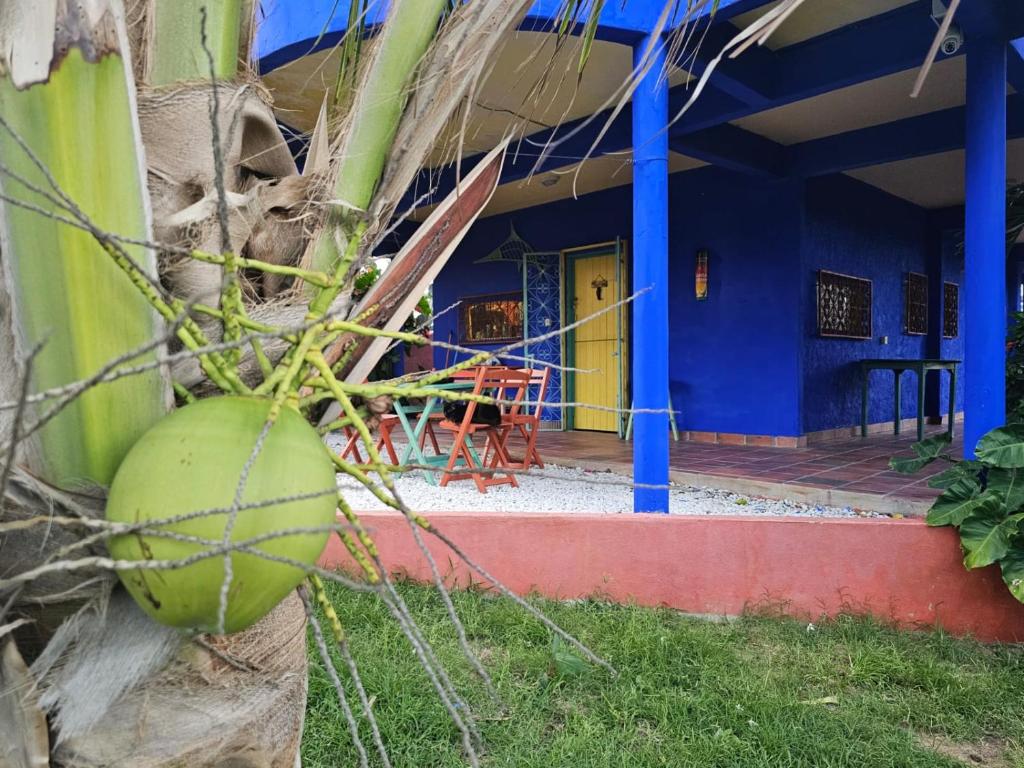 a house with a coconut in front of it at Mermaid House, kitchen, Wi-Fi, parking, centre 5 minutes on foot and near Sunset Dune in Aracati