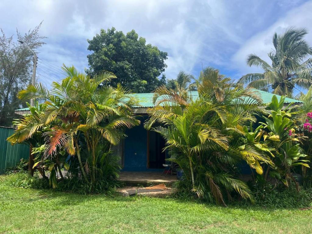 a house with palm trees in front of it at Casa Ika Moana in Hanga Roa