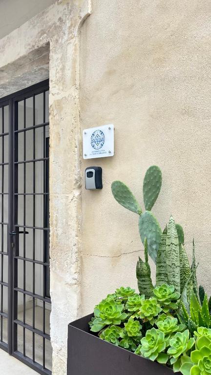 a plant in a planter next to a building at Siculía in Noto