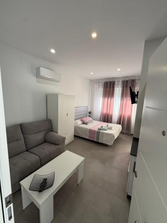 estudio Conil