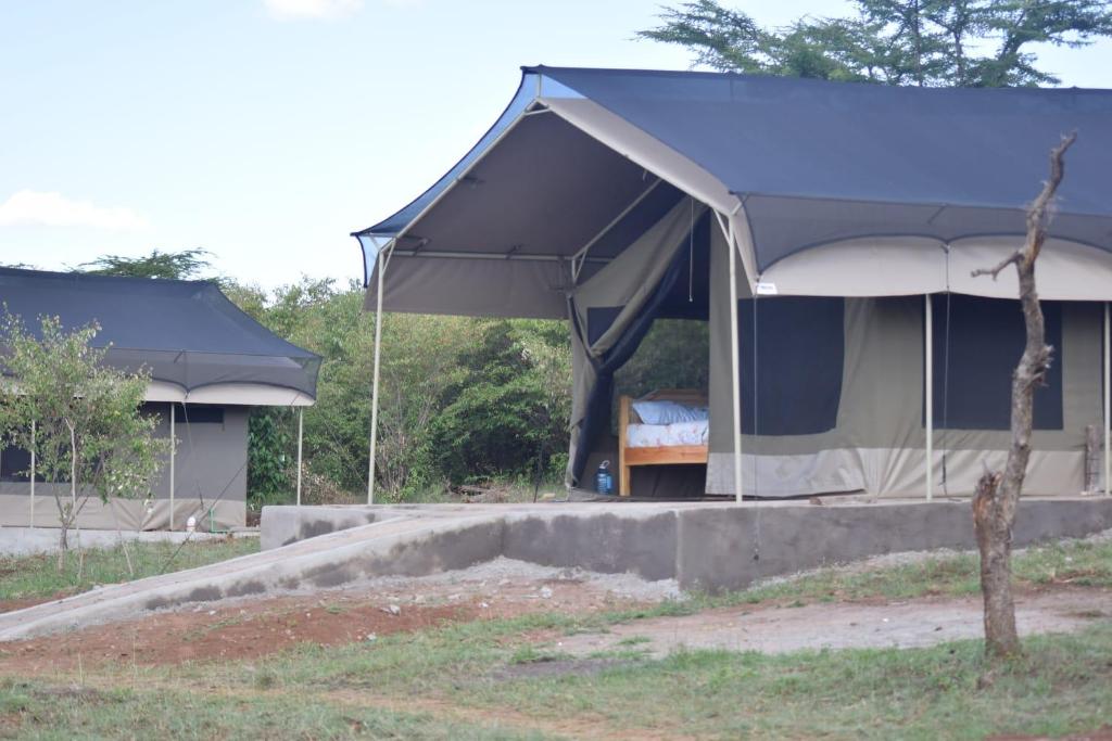 a tent with a bed in it in a yard at Oloirien camps in Maasai Mara National Reserve