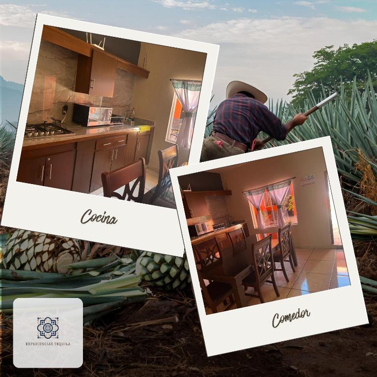 Casa Mexico, Tekilan