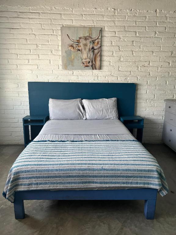 a blue bed with a picture of a cow on the wall at Canova Hostel & Pizza in Puerto Vallarta