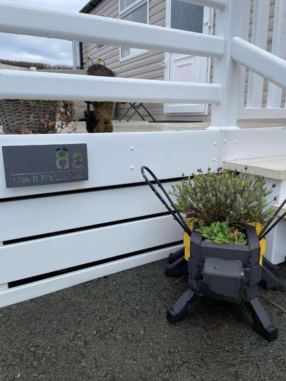 a plant in a cart next to a house at Polls Place in Caernarfon