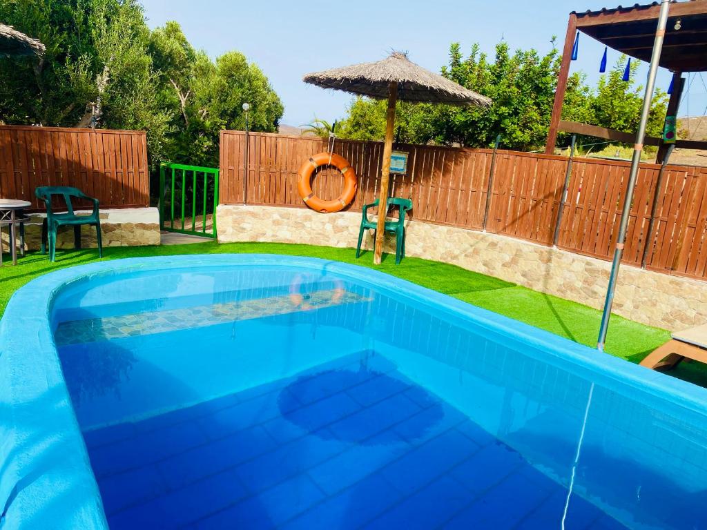 a swimming pool in a backyard with an umbrella at Olive Oasis Adults only in Gran Tarajal