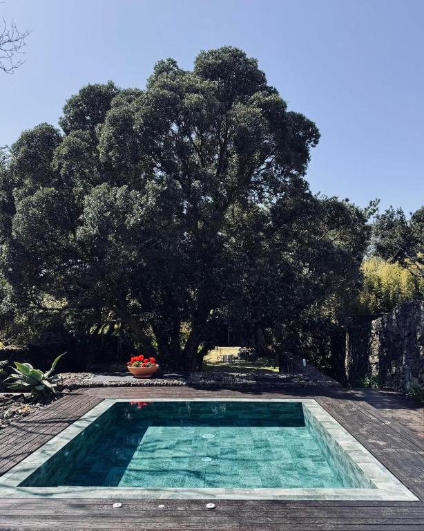 a swimming pool with a tree in the background at Caloura Suite in Caloura