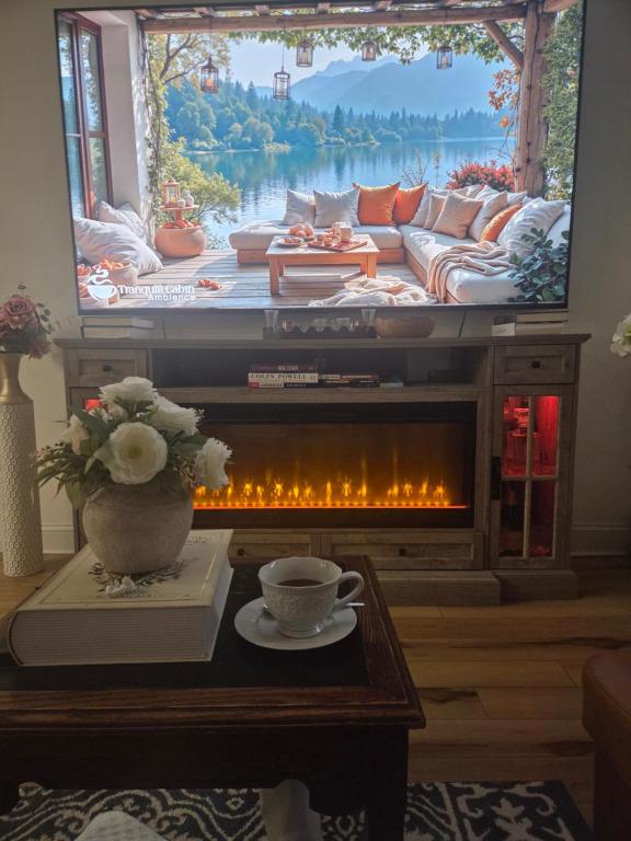 a living room with a tv and a fireplace at Brooklyn Luxury Suite in Brooklyn