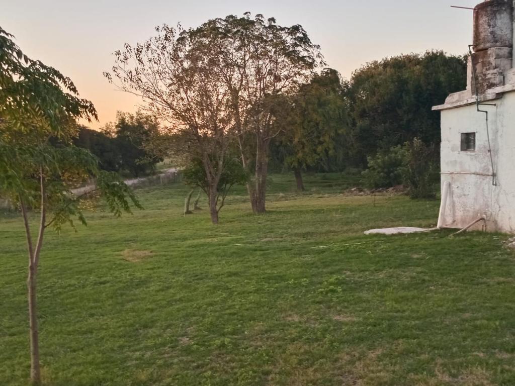 an old silo in a field with a tree at Don Ramón in Colonia del Sacramento