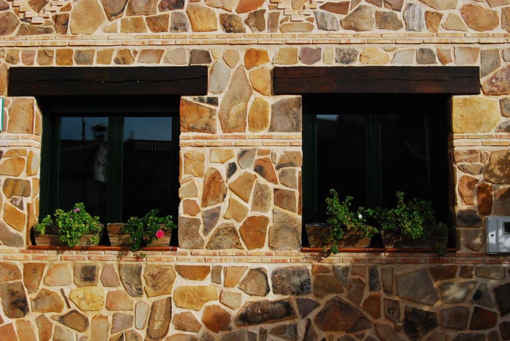 two windows in a stone wall with potted plants at Casa rural las Navillas in Las Navillas