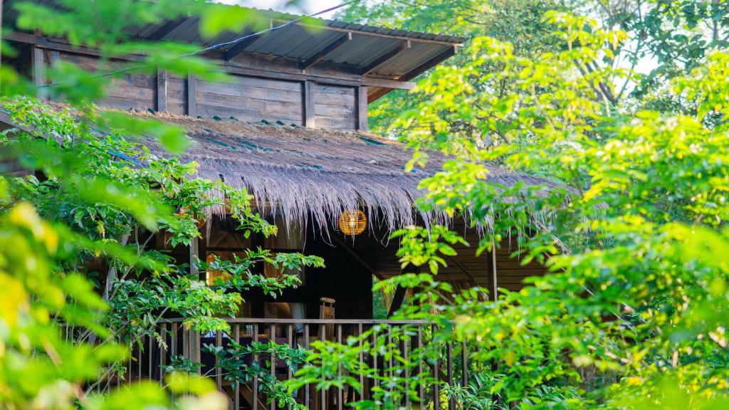 a hut with a thatched roof in the woods at Cozora Nook - Sigiriya in Sigiriya