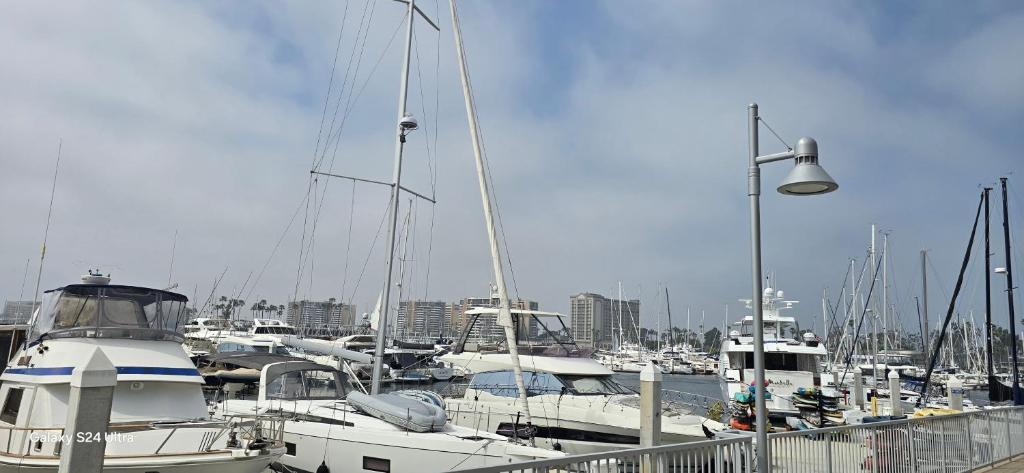 a bunch of boats docked in a harbor at 1-Bedroom Apartment near ALX Airport and the Ocean in Los Angeles