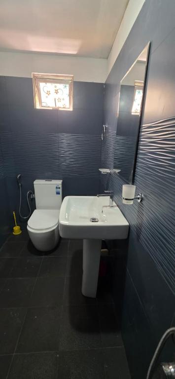 a bathroom with a white toilet and a sink at Silver Spring Villa in Siyambalape