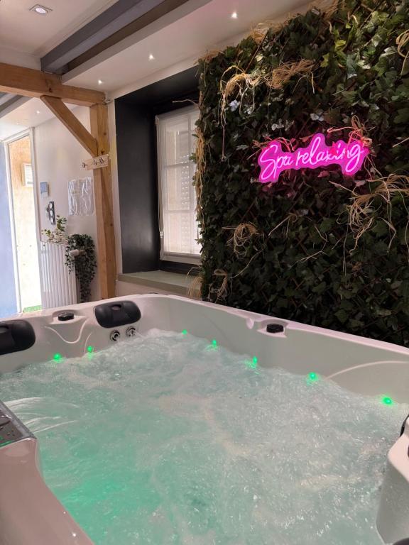a bath tub filled with water in a bathroom at Maison avec spa in Maisdon-sur-Sèvre