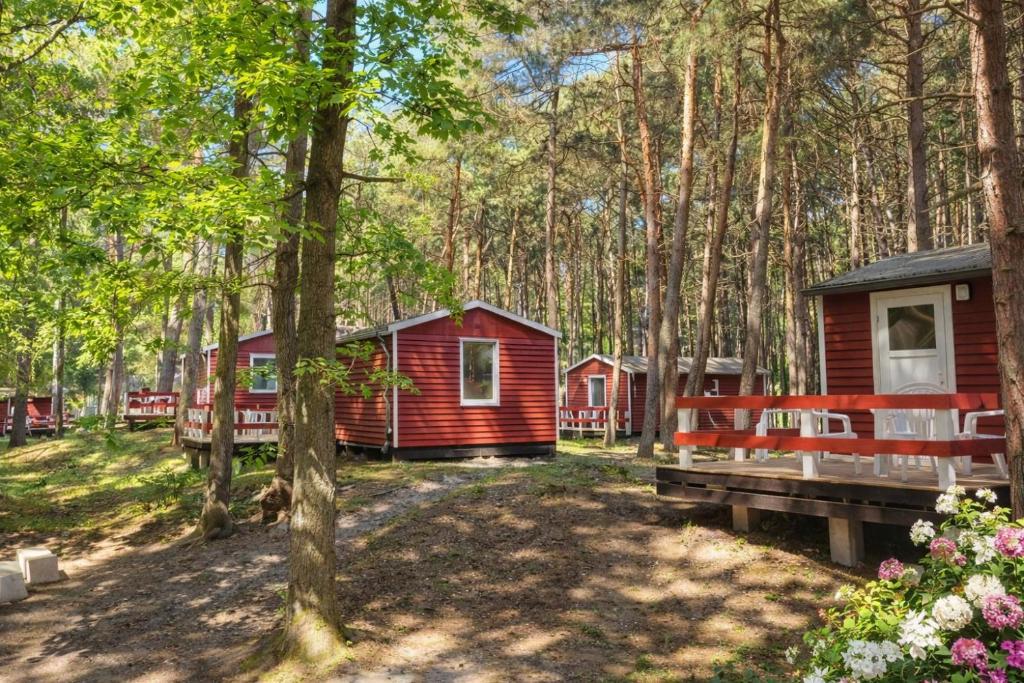 a red cabin in the woods with a bench and trees at Erholung pur in der Strandhussiedlung Rügen - Bungalow Ferienwohnung - bis 5 Personen - nur 100m zum Naturstrand - mitten im Kiefernwald - Ideal für Paare & Familien - Hunde herzlich willkommen in Dranske