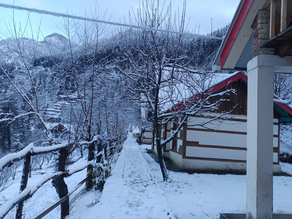 a snow covered street next to a house with trees at Moksh Jibhi Retreat in Jibhi
