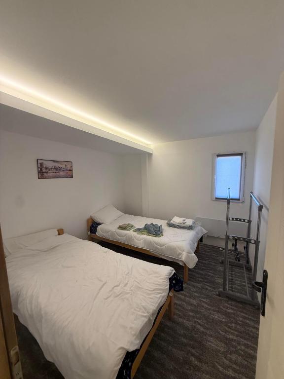 two beds in a small room with a window at Antic Apartman in Bor