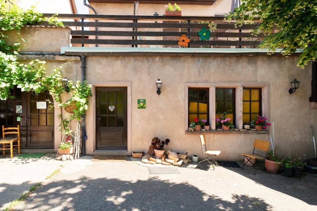 Riesling, parking gratuit et privé – photo 26