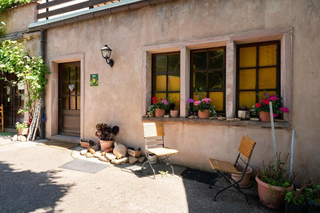 Riesling, parking gratuit et privé – photo 25