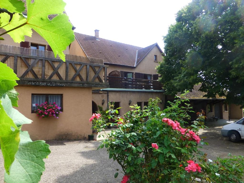 Riesling, parking gratuit et privé – photo 24