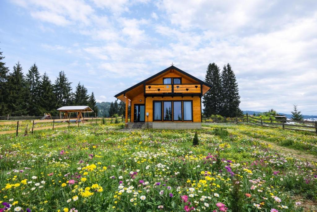 a small wooden house in a field of flowers at Cabana Almora in Dorna Arini