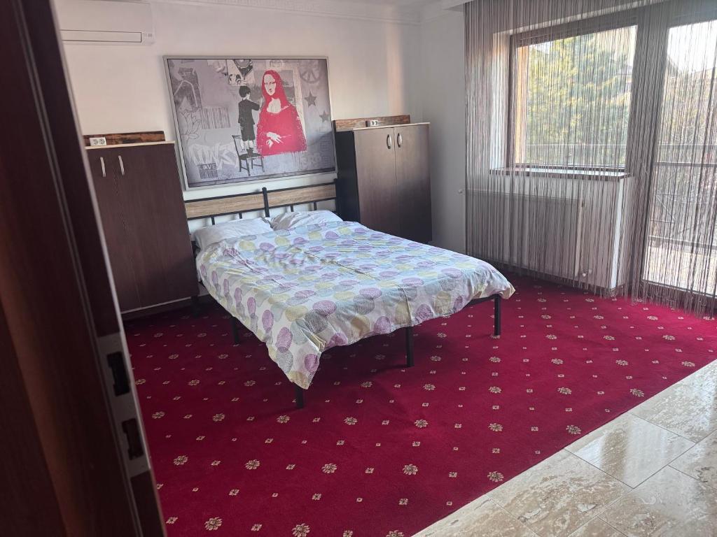 a bedroom with a bed and a red carpet at Vila cu trandafiri - Cozy Apartments Studio cu pat matrimonial in Bragadiru