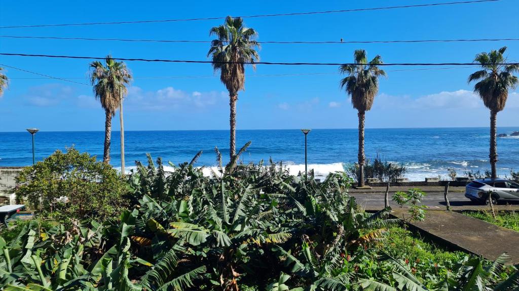 a view of the beach and palm trees at Casa Palmeiras, Seixal , Madeira in Seixal