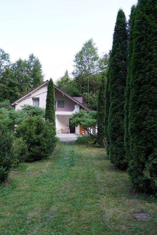 a row of trees in front of a house at Peste Vale in Poşaga de Sus